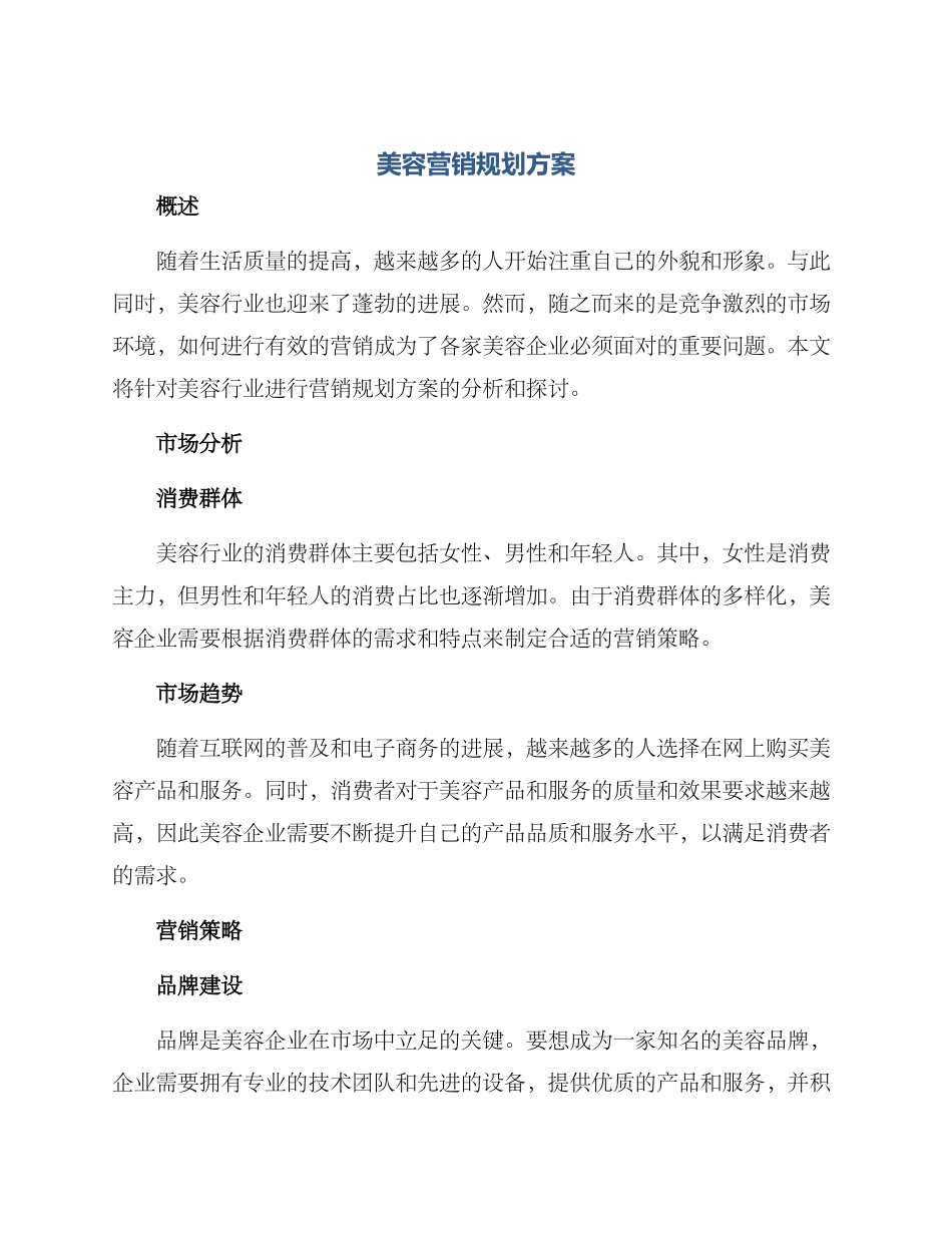 美容营销规划方案_第1页