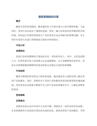 美容营销规划方案