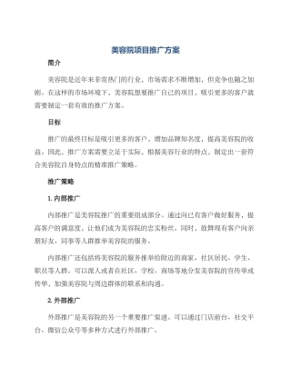 美容院项目推广方案
