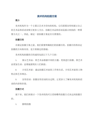 美术机构拍摄方案