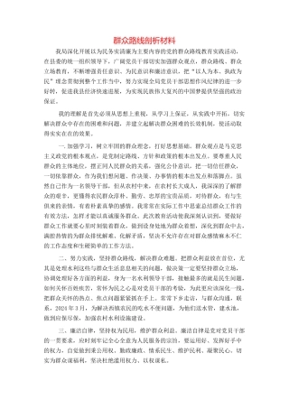 群众路线剖析材料