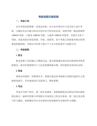考级流程方案初级