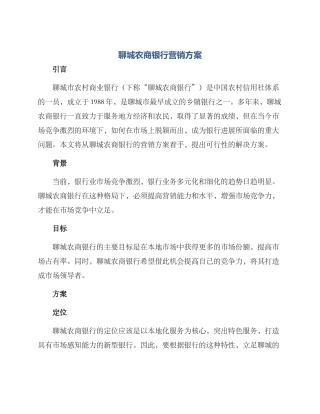 聊城农商银行营销方案