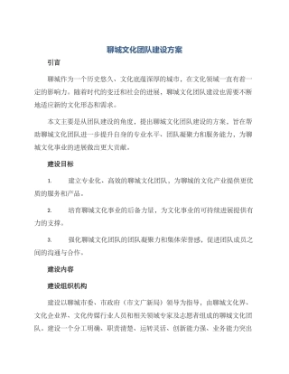 聊城文化团队建设方案