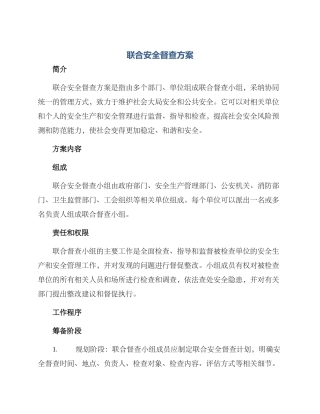 联合安全督查方案