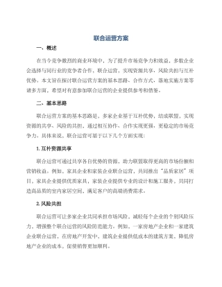 联合运营方案