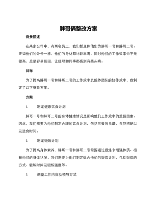 胖哥俩整改方案