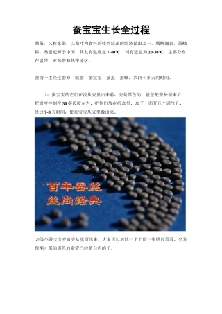 蚕宝宝生长全过程