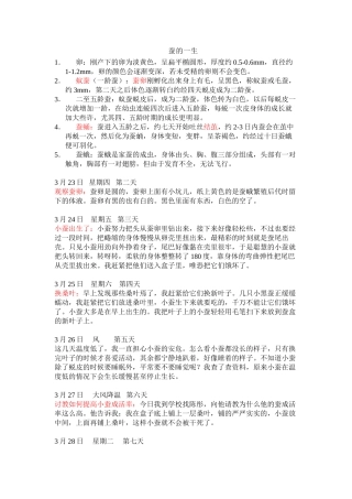 蚕宝宝观察日记