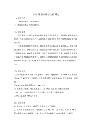 蛋白酶活性的测定