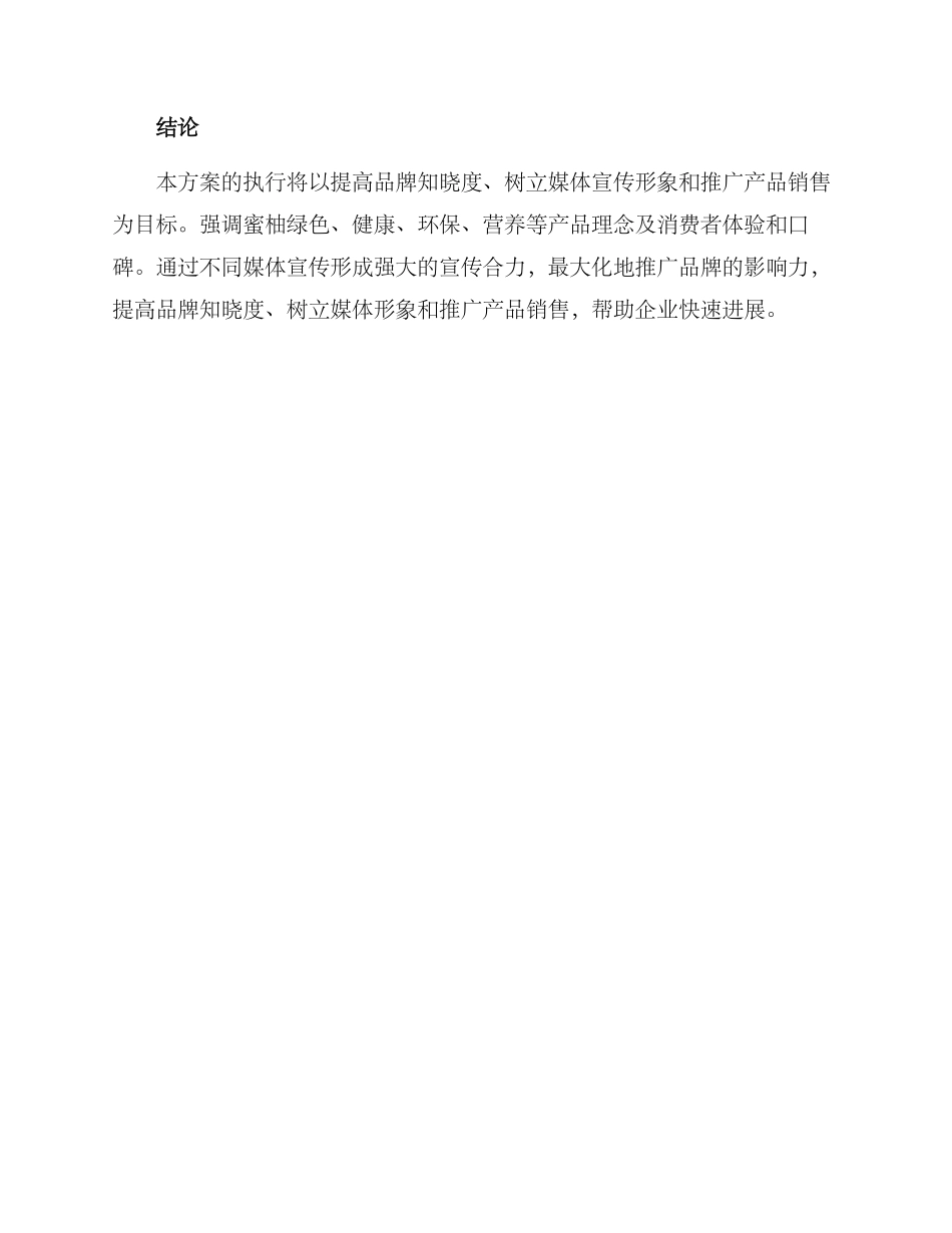 蜜柚营销宣传方案_第3页