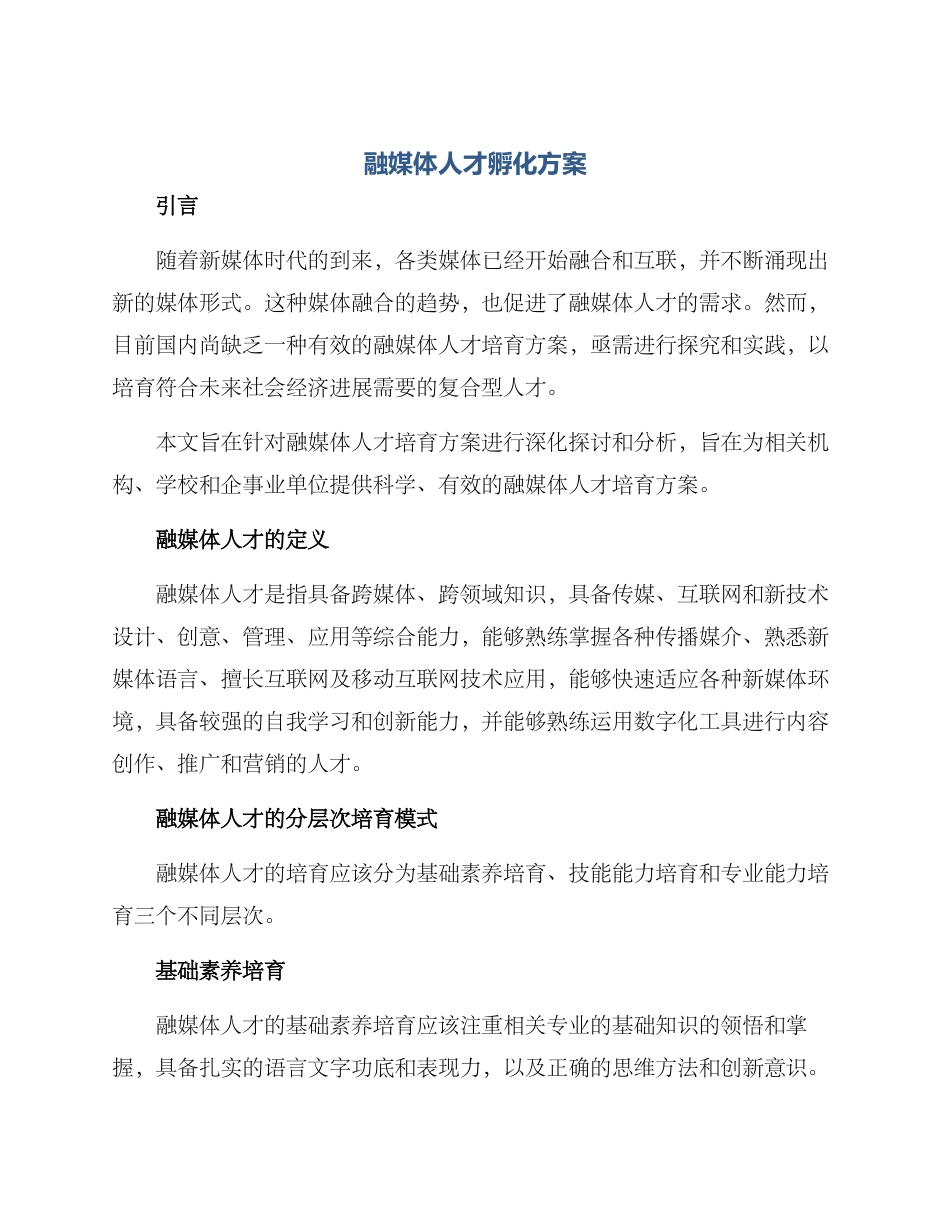 融媒体人才孵化方案_第1页