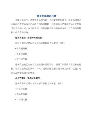 裤子新品命名方案