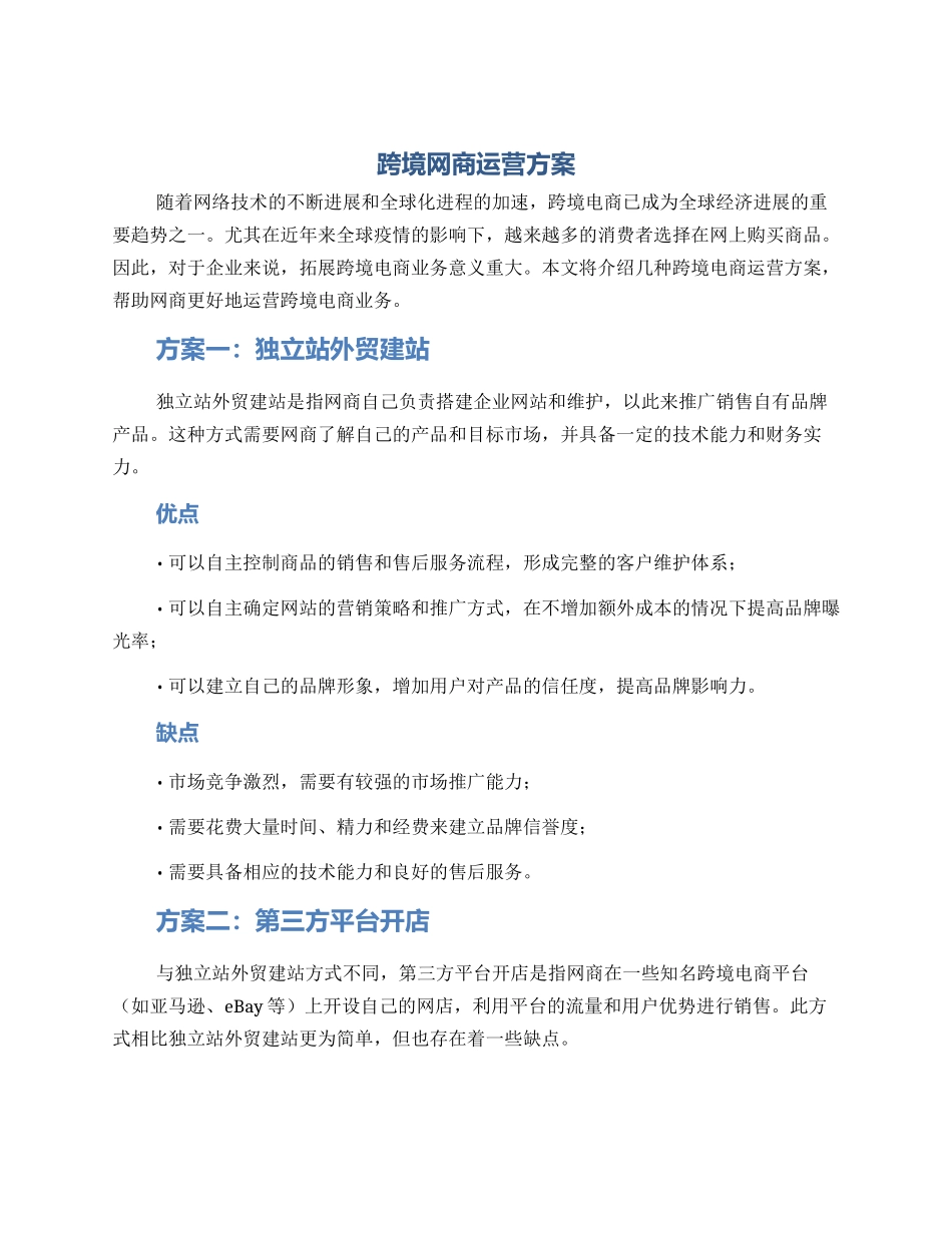 跨境网商运营方案_第1页