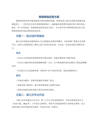 跨境网商运营方案