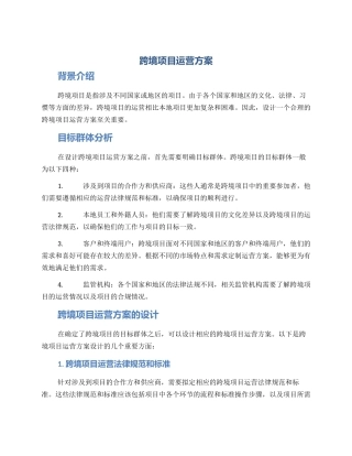 跨境项目运营方案