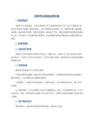 软件平台项目运营方案