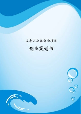 重庆大学 五彩石公益创业项目计划书
