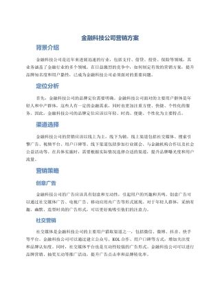 金融科技公司营销方案