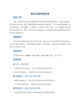 青年企业家考察方案
