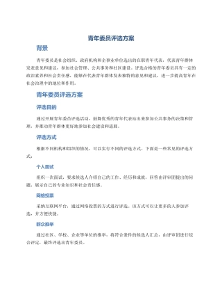 青年委员评选方案