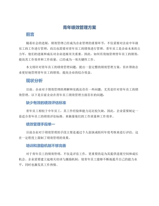 青年绩效管理方案