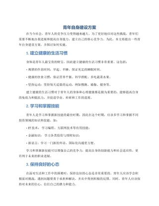 青年自身建设方案