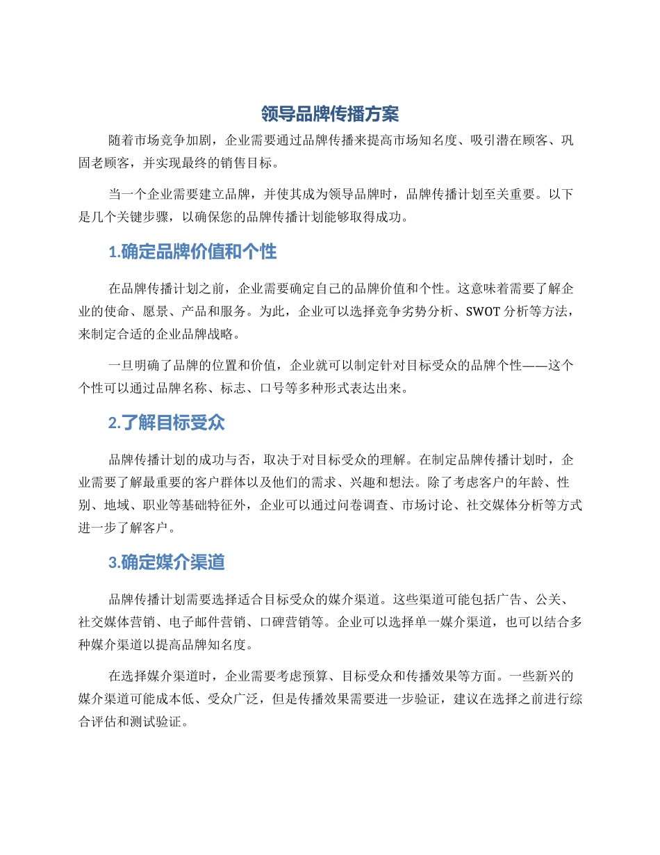 领导品牌传播方案_第1页