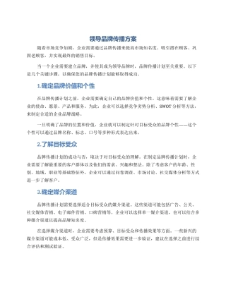 领导品牌传播方案