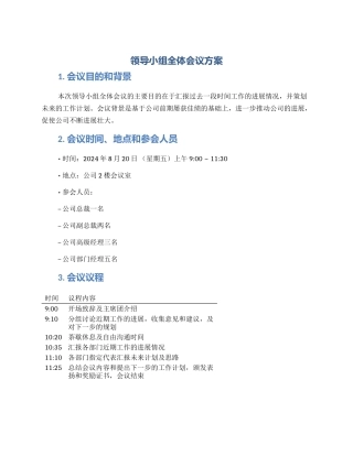 领导小组全体会议方案