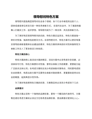 领导慰问特色方案