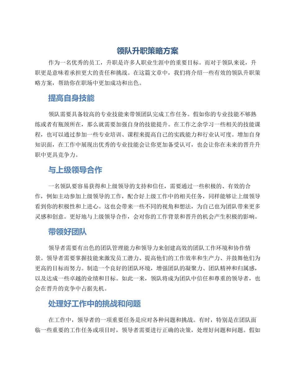 领队升职策略方案_第1页