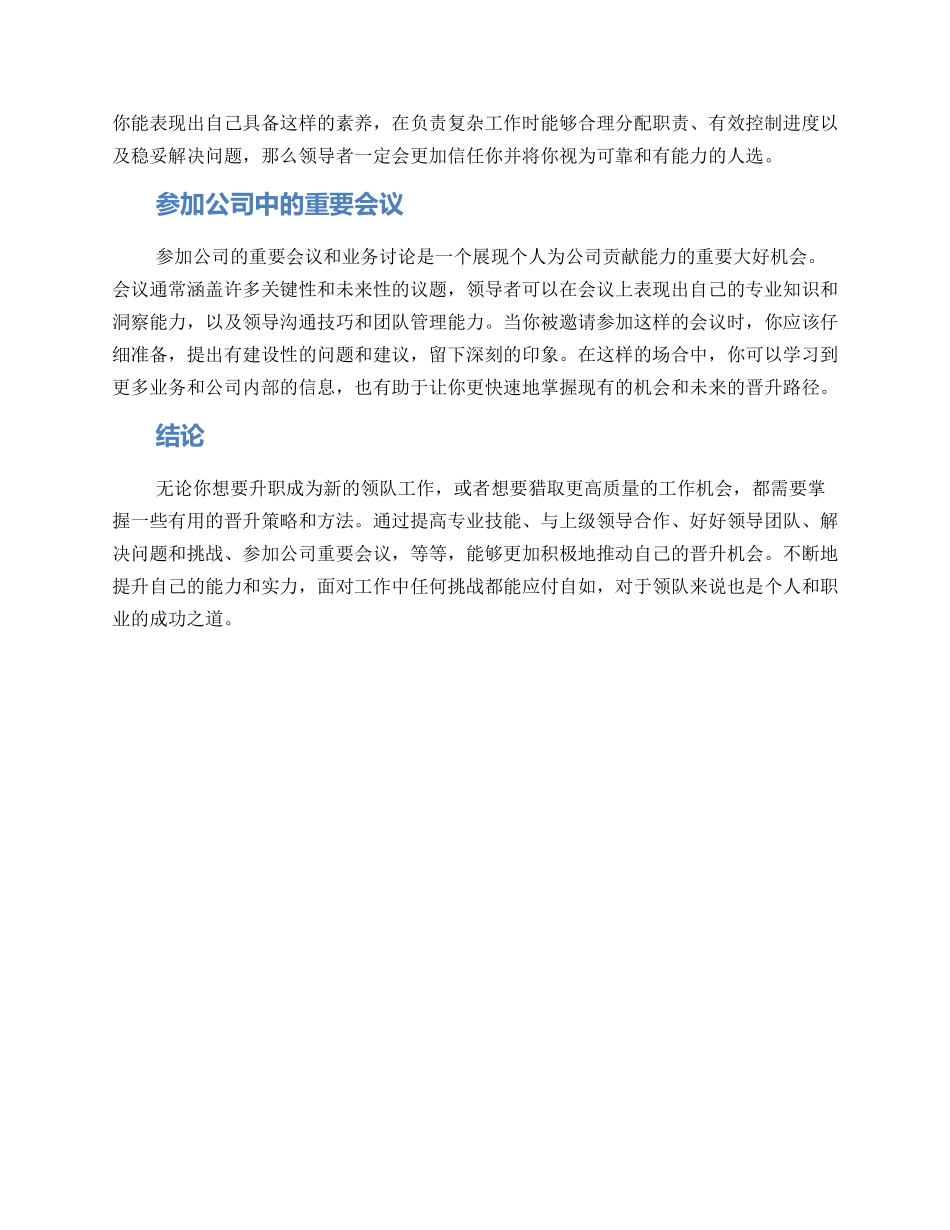 领队升职策略方案_第2页