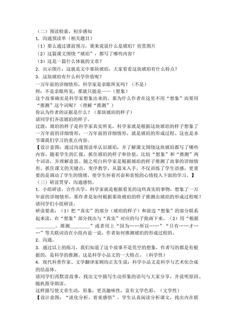 05琥珀获奖教学设计1_第2页