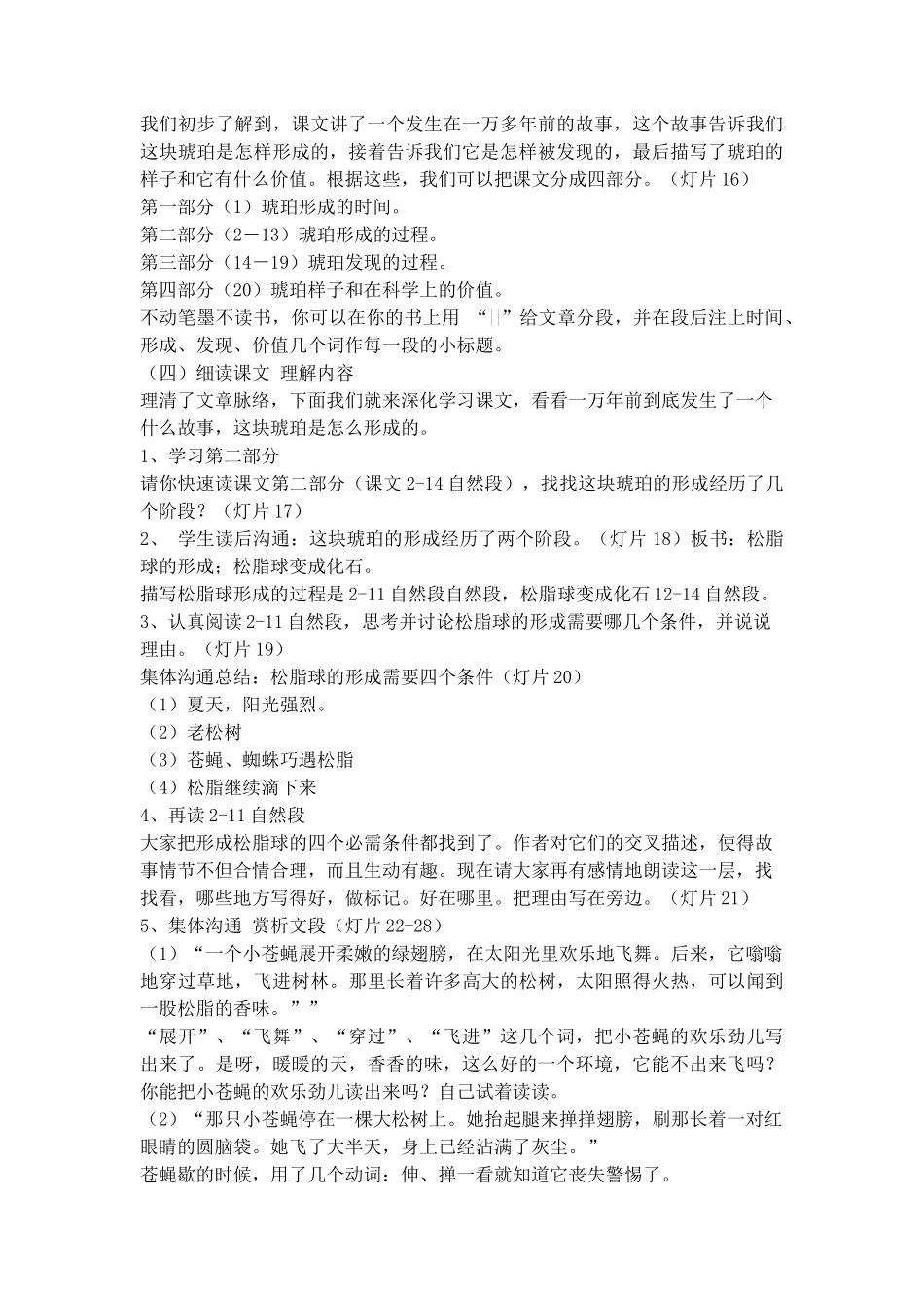 05琥珀优秀教学设计1_第2页