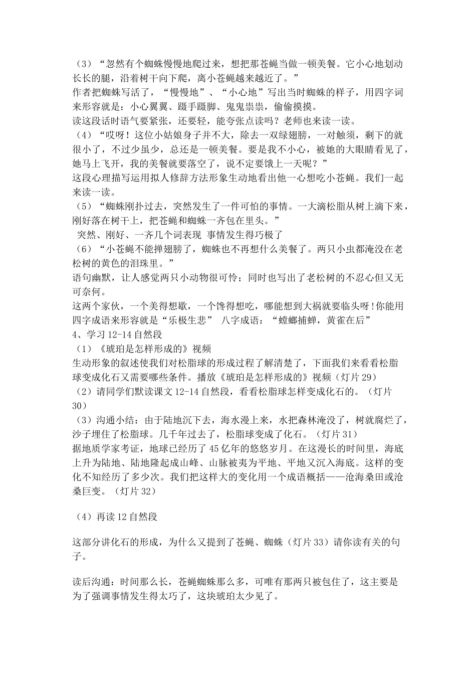 05琥珀优秀教学设计1_第3页