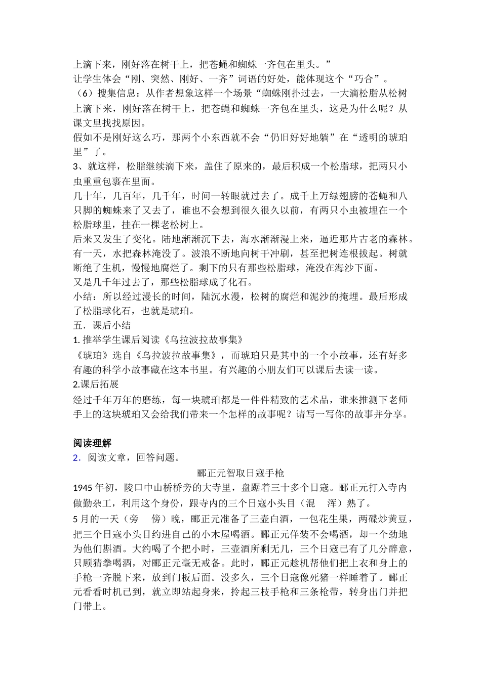 05琥珀集体备课教学设计1_第3页