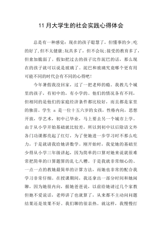 11月大学生的社会实践心得体会