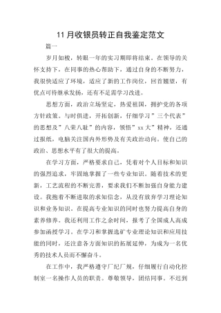 11月收银员转正自我鉴定范文