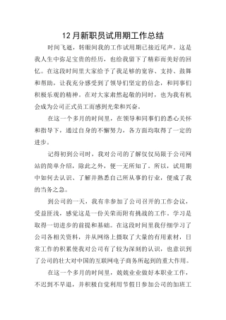 12月新职员试用期工作总结