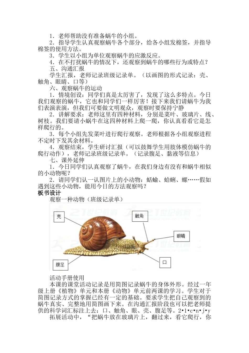 2.3《观察一种动物》-教案----_第2页