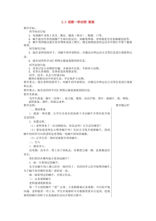 2.3观察一种动物教案
