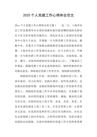 2025个人党建工作心得体会范文