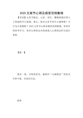 2025元宵节心得及感受范例集锦