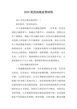 2025党员自我反思材料