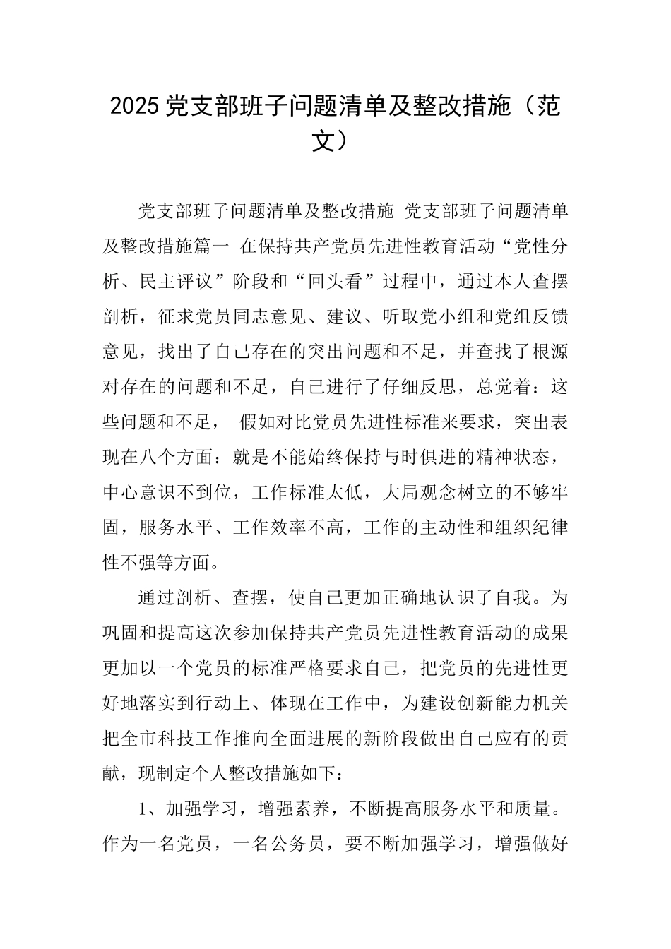 2025党支部班子问题清单及整改措施_第1页