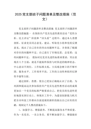 2025党支部班子问题清单及整改措施