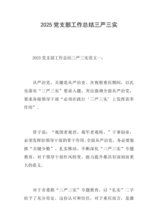 2025党支部工作总结三严三实