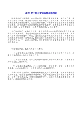 2025关于社会文明现象调查报告