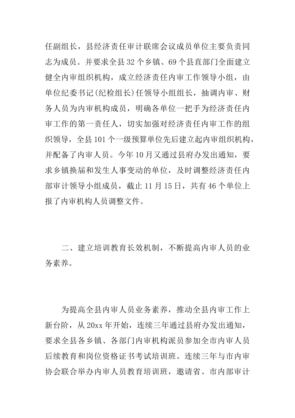 2025内部审计工作总结_第2页